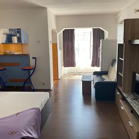 Garsoniera One Bedroom Apartment Хунедоара Екстер'єр фото