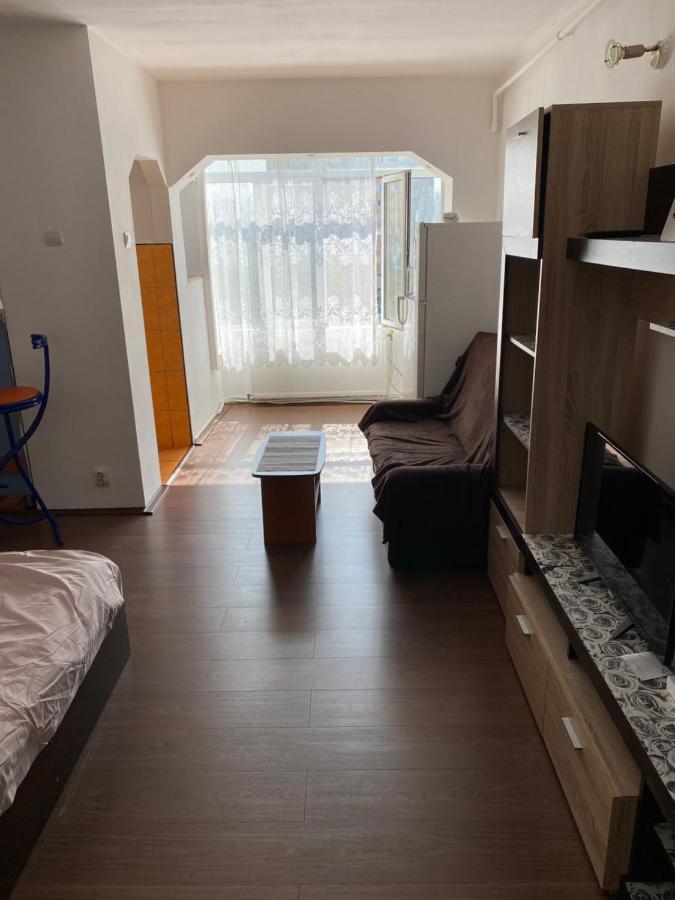 Garsoniera One Bedroom Apartment Хунедоара Екстер'єр фото