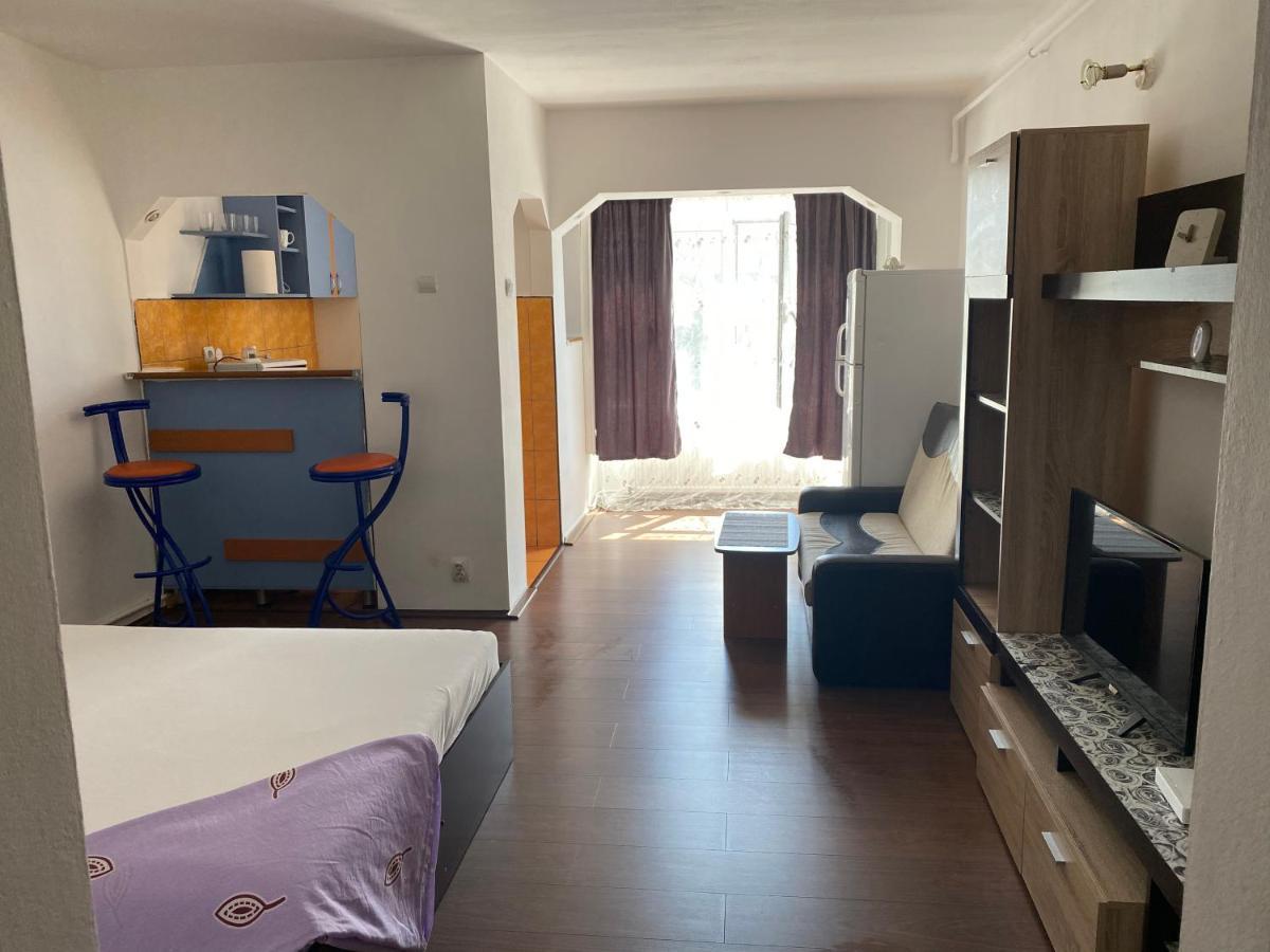 Garsoniera One Bedroom Apartment Хунедоара Екстер'єр фото